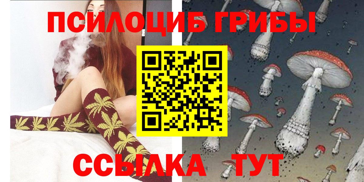 Галлюциногенные грибы Psilocybine cubensis Шелехов
